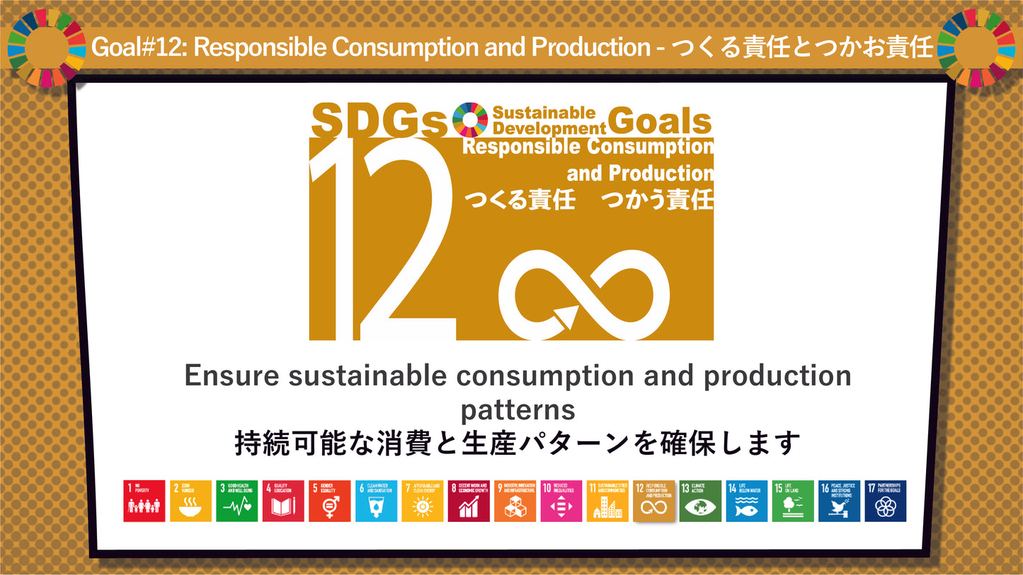 SDGs in Action – Goals 11 & 12 Bundle - SDGs実践キット – 目標11&12パック