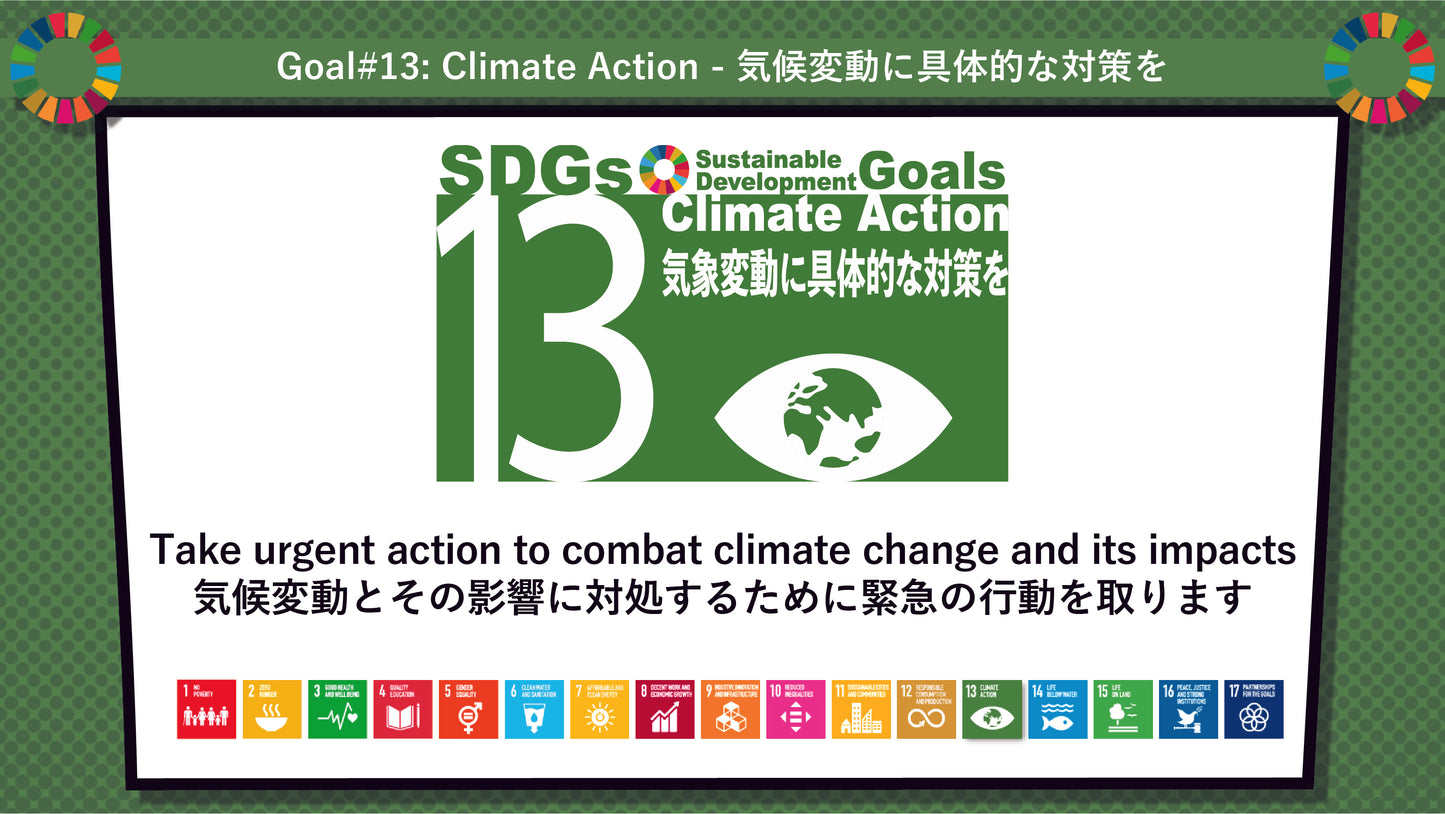 SDGs in Action – Goals 13 & 14 Bundle - SDGs実践キット – 目標13&14パック