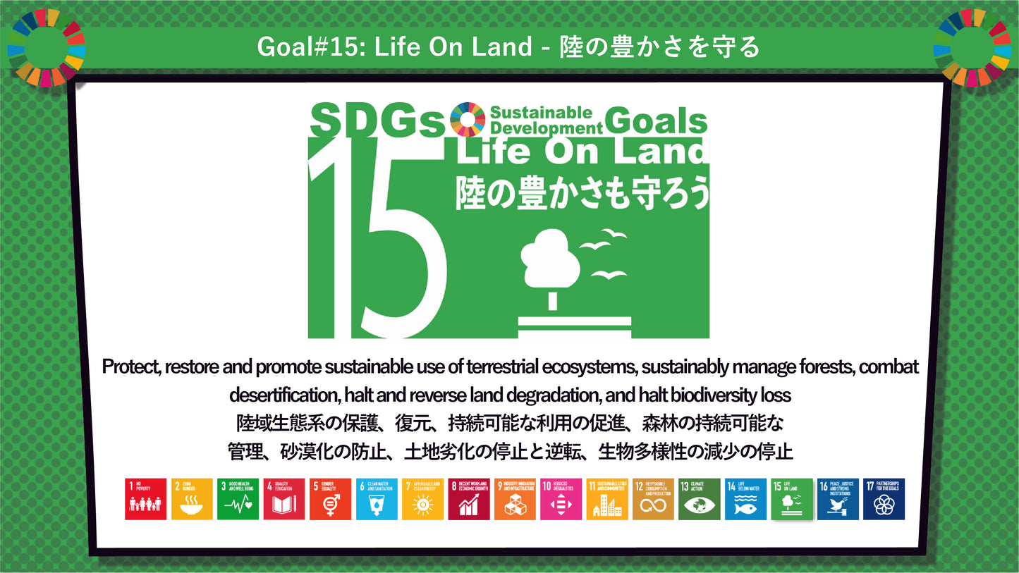 SDGs in Action – Goals 15, 16 & 17 Bundle - SDGs実践キット – 目標15・16・17パック