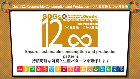 SDGs in Action – Goals 11 & 12 Bundle - SDGs実践キット – 目標11＆12パック