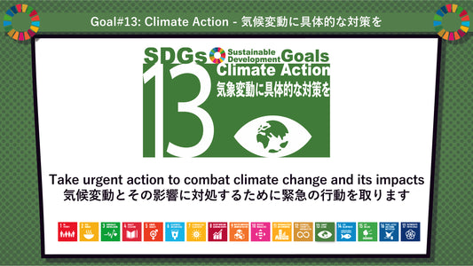 SDGs in Action – Goals 13 & 14 Bundle - SDGs実践キット – 目標13＆14パック