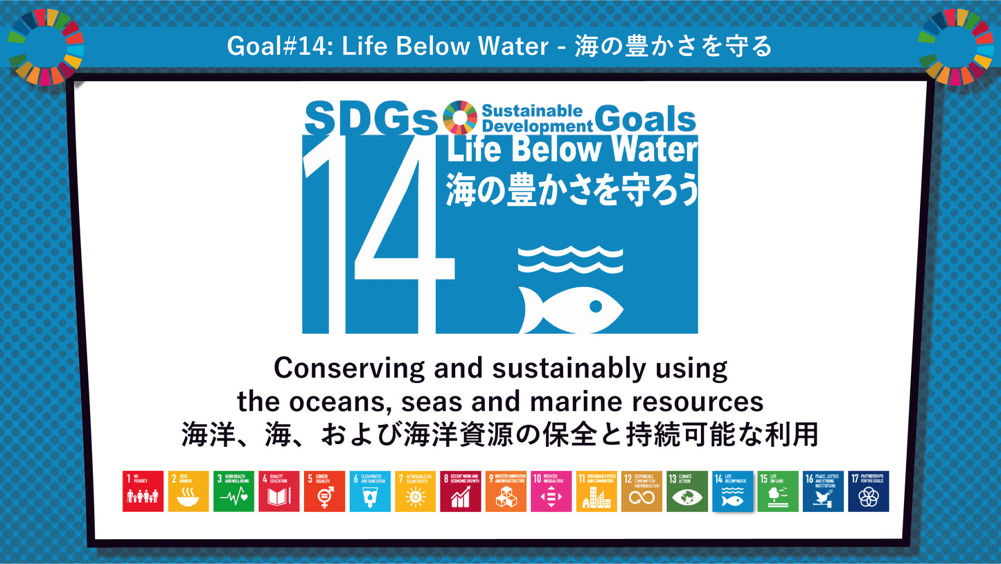 SDGs in Action – Goals 13 & 14 Bundle - SDGs実践キット – 目標13＆14パック