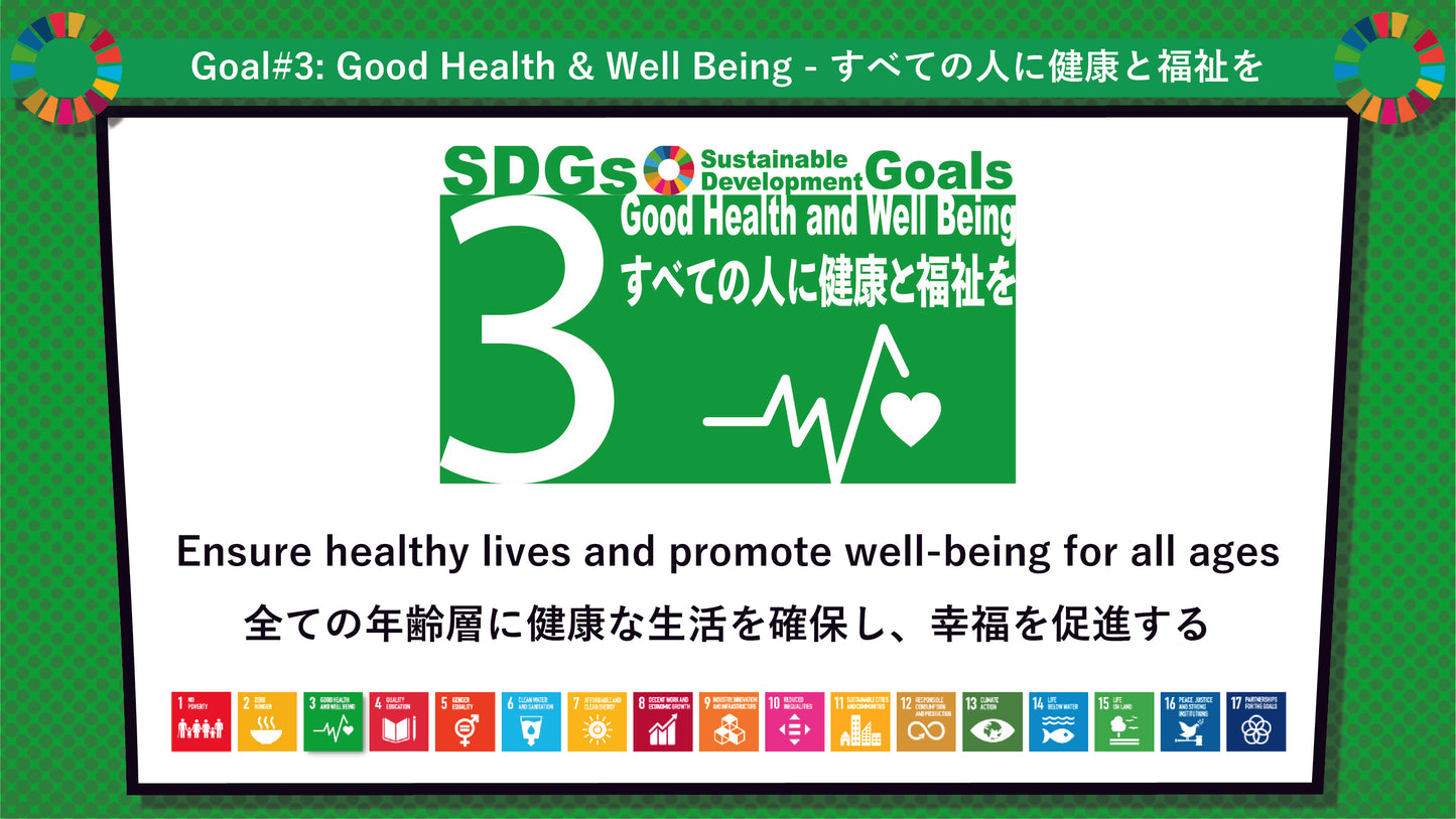 SDGs in Action – Goals 3 & 4 Bundle - SDGs実践キット – 目標3＆4パック