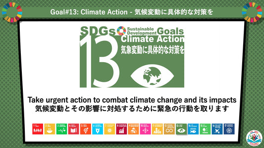 SDGs in Action – Goals 13 & 14 Bundle - SDGs実践キット – 目標13＆14パック