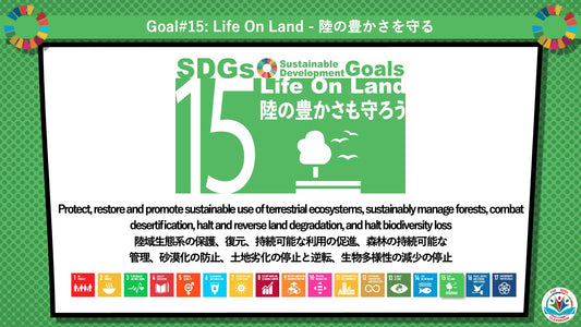 SDGs in Action – Goals 15, 16 & 17 Bundle - SDGs実践キット – 目標15・16・17パック